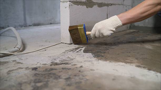SJ Waterproofing Pros Exterior Waterproofing coverage map for Baldwin, MI and surrounding area